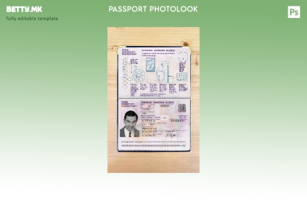 Шаблон за изглед на фотографија од пасош во Шведска во модерен стил